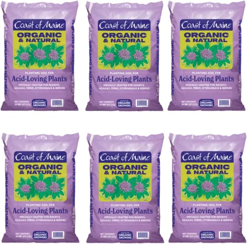 Miniatura 4 de Coast of Maine Suelo de plantación orgánico y natural para plantas amantes de los ácidos, azalea, rododendro y bayas, suelo de siembra premium