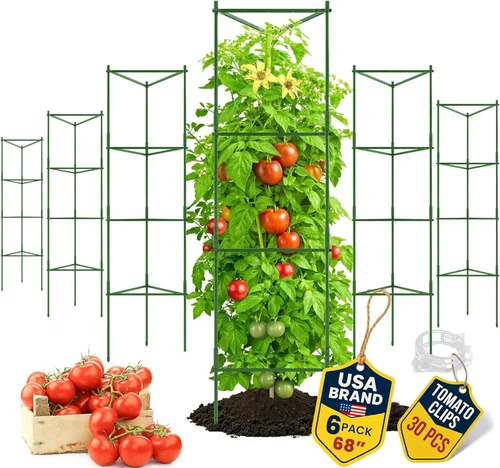 Miniatura 11 de Jaula de tomate – Estacas grandes de enrejado y estructuras de soporte para plantas para verduras y plantas trepadoras – Jaulas altas para tomate