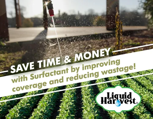 Miniatura 4 de Liquid Harvest - Surfactante para herbicidas no iónicos