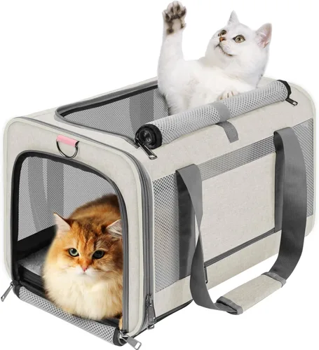 GAPZER Transportador de mascotas para gatos grandes de 20 libras + / Transportín de lados suaves para perros pequeños de 12 libras, jaula de viaje