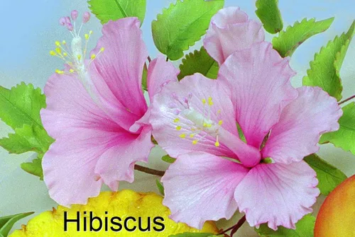Miniatura 3 de Juego de cortador de pétalos de hibisco, cáliz y hojas de WSA