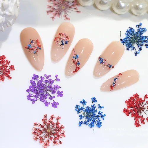 Miniatura 4 de 2 cajas de flores secas para uñas, mini flores de uñas reales 3D, flores secas, calcomanías de uñas, decoración de uñas, decoración de manicura