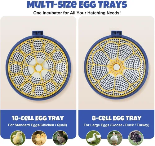 Miniatura 7 de Incubadora de 18 huevos para incubar pollos, codornices, patos y pavos, girador automático de huevos, control de humedad y pantalla digital, incluye