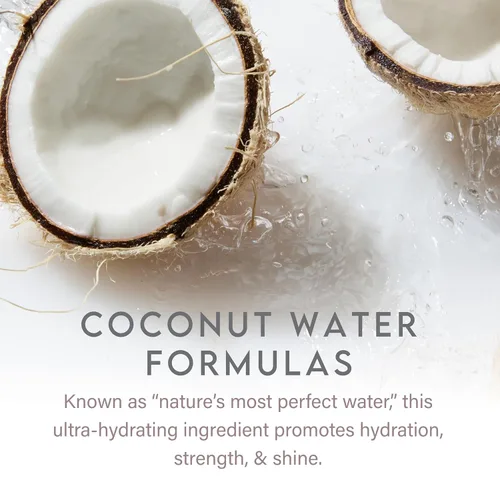 Miniatura 6 de ALURAM Champú diario de agua de coco para hombres y mujeres, hidratación desintoxicante y volumen para todo tipo de cabello