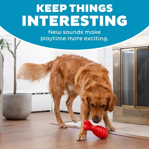 Miniatura 5 de Outward Hound Grunt Fetch Stick - Juguete para perro, conejito, rojo