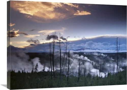 Global Gallery Norris Geyser - Cuenca con ciruelas de vapor de geysers, Parque Nacional Yellowstone, arte de papel Wyoming