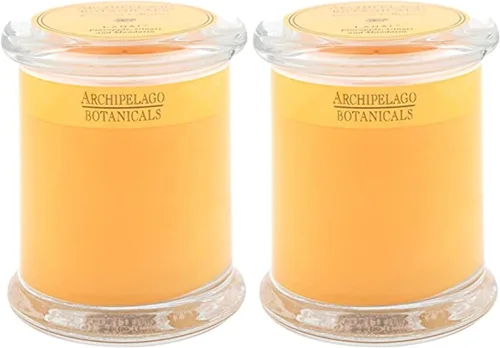 Miniatura 16 de Archipelago Botanicals Vela en Frasco de Vidrio Havana, Aroma de Bergamota, Flor de Tabaco y Ylang Ylang, Mechas de Vela Sin Plomo, Arde
