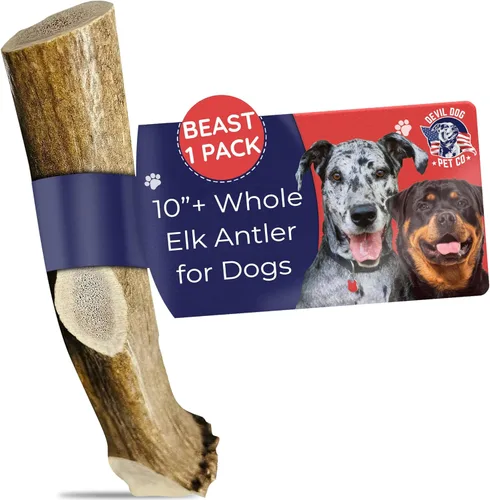 Miniatura 16 de Devil Dog Pet Co. Cornamentas de alce para perros, extra grandes 17,8 cm+, 1 paquete, grado A, masticable duradero para masticadores agresivos, asta