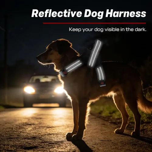 Miniatura 4 de Arnés para perro, chaleco para mascotas sin tirones, tira reflectante a prueba de escape, fácil de ajustar, arnés para perro con función a prueba