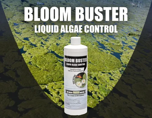 Miniatura 9 de Bloom Buster Pond Control de algas – 16 oz – Algicida de acción rápida, uso en fuentes y estanques al aire libre que contienen koi y otros peces