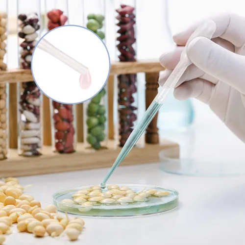 Miniatura 3 de 300 pipetas de transferencia de plástico de 0.11 onzas líquidas, pipetas desechables de transferencia de pipetas YSSHUI para aceite esencial