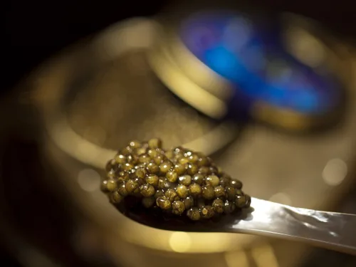 Miniatura 2 de Caviar de esturión Ossetra 250g (8.8 oz)