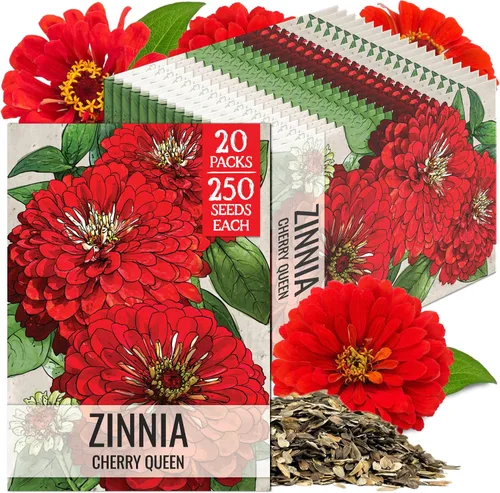 Miniatura 39 de Seed Needs California Giants - Semillas de zinnia – 250 semillas tradicionales para plantar Zinnia elegans – Cultiva flores anuales polinizadas