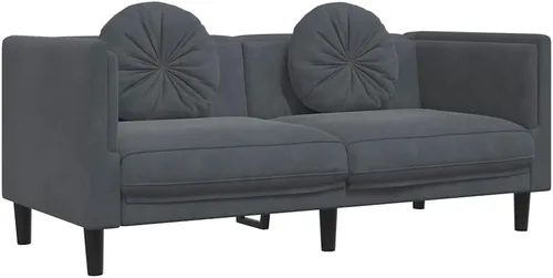 vidaXL Sofá con cojines de 2 plazas, sofá tapizado, sofá biplaza para sala de estar en casa, sofá de dos plazas, estilo moderno, terciopelo gris