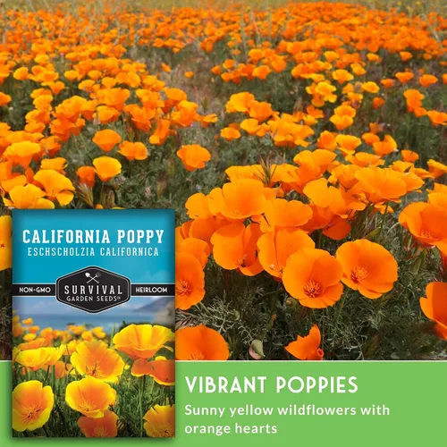 Miniatura 4 de Survival Garden Seeds - Semillas de amapola de California para plantar - 5 paquetes con instrucciones para cultivar plantas Eschscholzia Californica