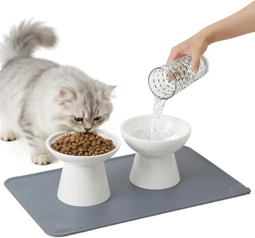 Miniatura 13 de CEEFU 2 cuencos elevados de cerámica para gatos extra anchos para alimentos y agua, plato de comida poco profunda, sin plomo ni cadmio, altura Verde