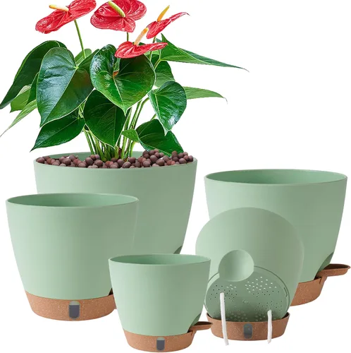 Miniatura 21 de Macetas de riego automático de 6 pulgadas para plantas de interior (paquete de 5) – Pequeñas macetas de plástico con ventana de nivel de agua