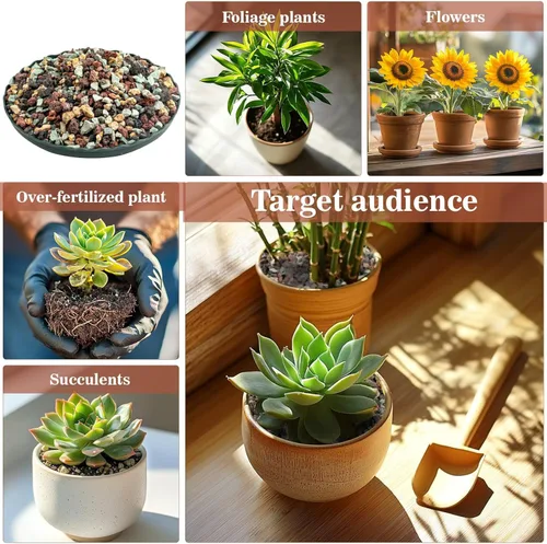 Miniatura 5 de Sukh Rocas Horticulturales para Suculentas de 2 Libras Mezcla de Bonsái Mezcla para Macetas de Suculentas Rocas de Lava Mezcla para Macetas