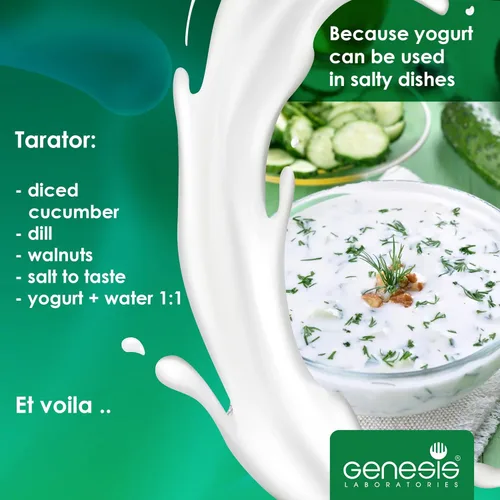 Miniatura 7 de Iniciador de yogur búlgaro Cultura de yogur probiótico natural Iniciador de cultivo de yogur casero hasta 50 litros Lactobacillus bulgaricus 10