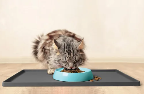 Miniatura 6 de CatGuru - Tazón para comida de gato, alivia la fatiga de los bigotes, plato ancho para gato, tazones antideslizantes para gatos, tazones poco