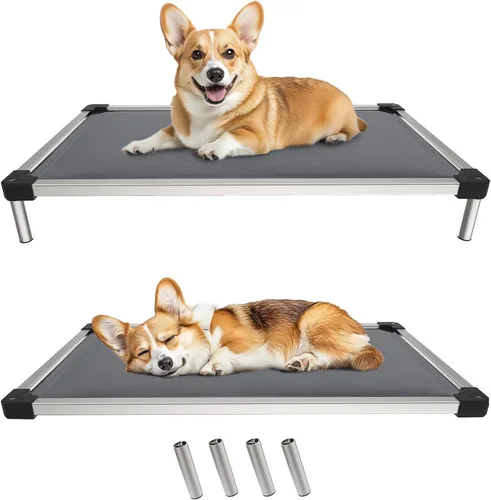 FXW TitanNest Cama Elevada para Perros a Prueba de Masticación, Catre Elevado para Uso en Interiores/Exteriores/Camping, Cama Acolchada para Gris