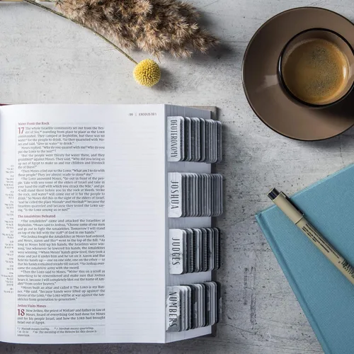 Miniatura 3 de Pestañas para la Biblia laminadas DiverseBee con resúmenes de libros (impresión grande, fácil de leer), pestañas personalizadas para diario bíblico