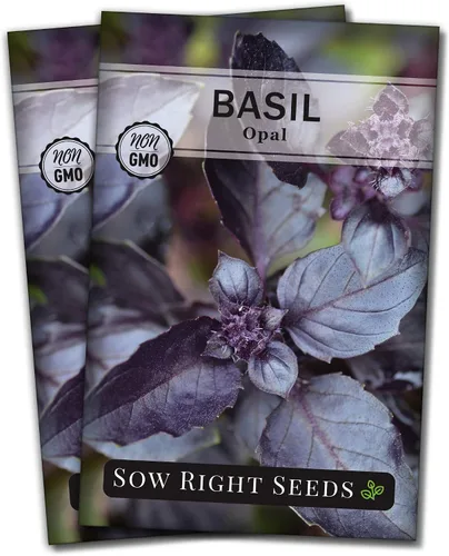 Miniatura 7 de Sow Right Seeds - Semillas de albahaca de ópalo para plantar - Paquete de reliquia sin OMG con instrucciones para plantar en interiores o exteriores