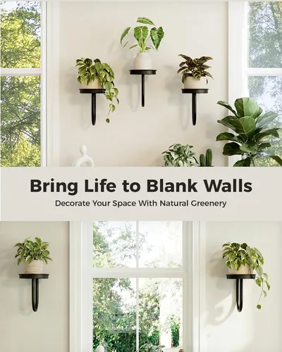 Miniatura 8 de Bamworld Macetas colgantes para plantas de interior, soporte para plantas de pared, colgador de plantas, macetas de pared para interiores, estantes