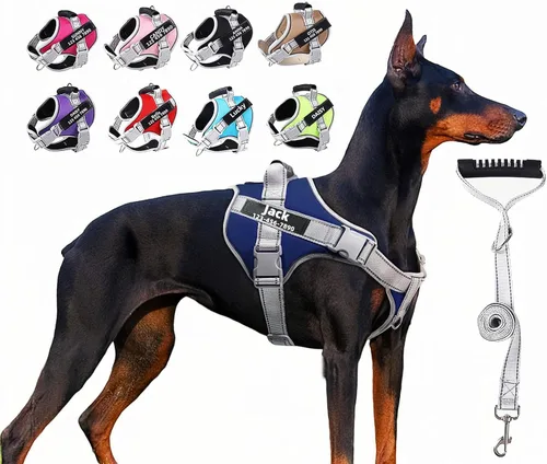 Miniatura 7 de Juego de correa de arnés personalizado sin tirones para perro con nombre y número de teléfono personalizados, chaleco resistente para mascotas