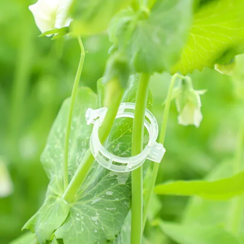 Miniatura 3 de 80 clips de entrenamiento de tallo de plantas, ramas dobladoras de brotes de plantas de bajo estrés, clips de soporte para plantas, abrazaderas
