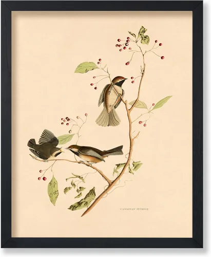 Miniatura 47 de Poster Master Póster Vintage de Plantas Cultivadas - Impresión Botánica Retro - Arte de Flores - Arte de Plantas - Regalo para Hombres y Mujeres
