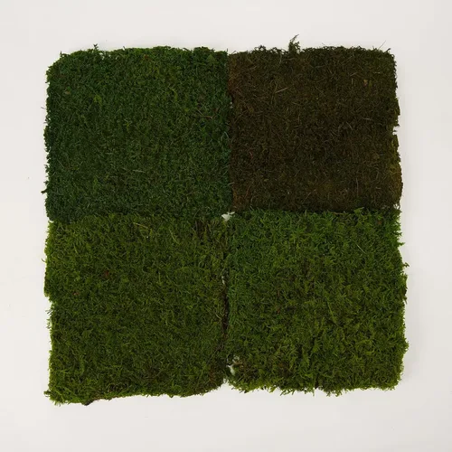 Miniatura 8 de Hoja preservada de musgo verde natural, decorativo, verde natural, kit de bricolaje, arte de jardinería, decoración de pared, decoración de verde - b