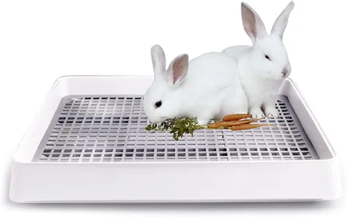 Miniatura 9 de Oncpcare Caja de arena de conejillo de indias de 15 x 12 pulgadas con rejilla, bandeja de arena para animales pequeños para jaula, bandeja de baño