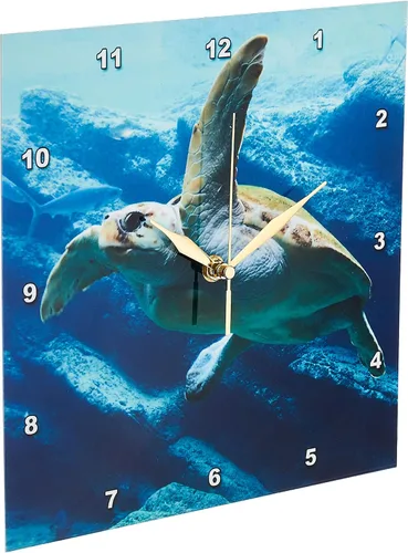 Miniatura 2 de 3D Rose DPP_240216_1 Tortuga acuática en el océano Sealife, 10" x 10