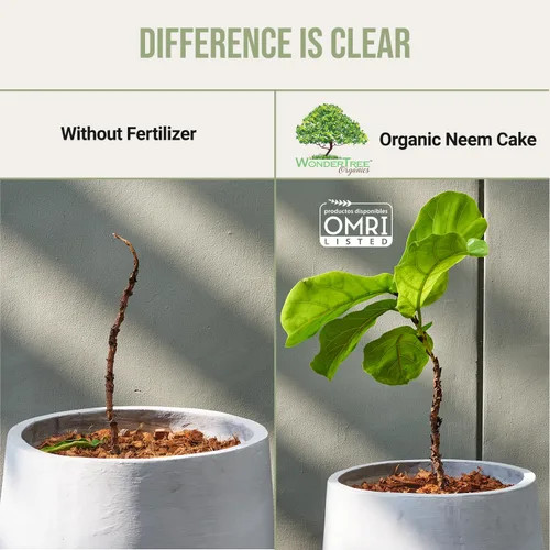 Miniatura 8 de Eden - Pastel de neem 100% orgánico, para huerta, árboles frutales, rosas y plantas de interior o exterior, con certificación OMRI (5 libras)