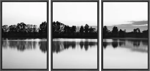 NWT Juego de Arte de Pared de Lienzo Enmarcado Bosque Blanco y Negro Reflejo de Lago Paisaje Naturaleza Vida Silvestre Arte de Fotografía Rústico