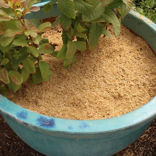 Miniatura 2 de Gardenera Cascos de arroz orgánico – Mejora la textura del suelo y la retención de nutrientes – Lo mejor para plantas de casa y ropa de cama
