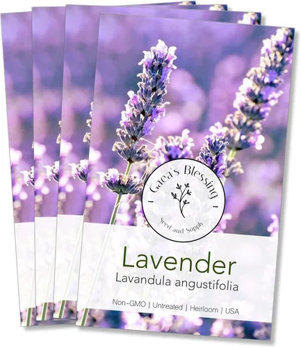 Miniatura 6 de Gaea's Blessing Semillas – Semillas de lavanda inglesa – Semillas tradicionales sin OMG con instrucciones fáciles de seguir – Vera True Lavender