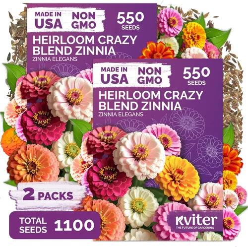 Miniatura 4 de KVITER Mezcla de 100 semillas de calabaza pequeñas (Cucurbita Pepo), paquete de 2 – Calabazas ornamentales de otoño, sin OGM – Semillas de reliquia