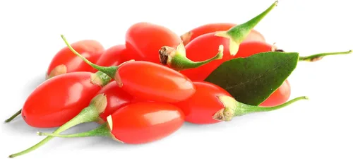 Miniatura 3 de Semillas de bayas de Goji para cultivar - Más de 100 semillas - Cultiva un árbol exótico que da frutos, muy divertido. ¡Debes probarlo!