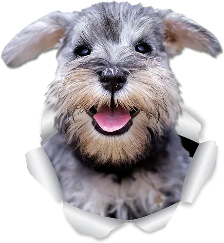 Miniatura 7 de Winston & Bear Lindas calcomanías de pared Schnauzer - Paquete de 2 calcomanías 3D para inodoro de perro, calcomanía para ventana de coche
