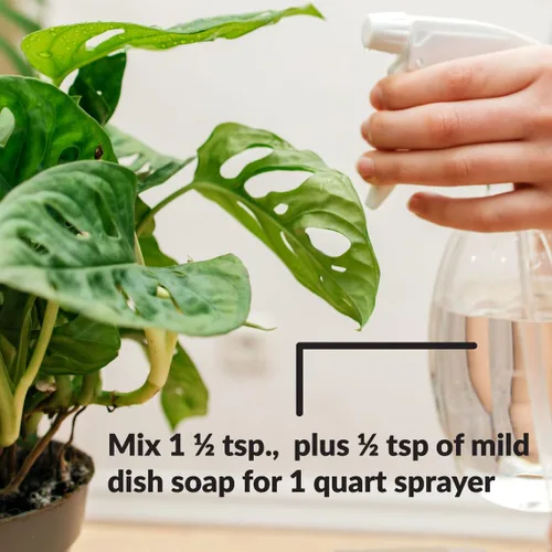 Miniatura 7 de Aceite de nim para pulimento de hojas, marca Dyna-Gro NEM-008., 8 onzas, Blanco