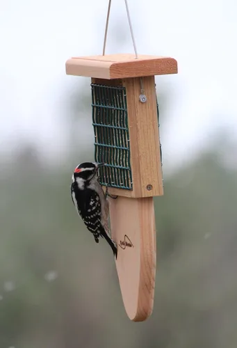Miniatura 3 de Kettle Moraine Cedro Single Cake Tail Prop Suet Comedero para pájaros con cable colgante