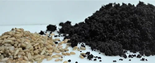 Miniatura 6 de Bolsa de cultivo de hongos de 6 libras, kit de cultivo todo en uno en una bolsa, desbroce de grano esterilizado y sustrato a granel, puerto
