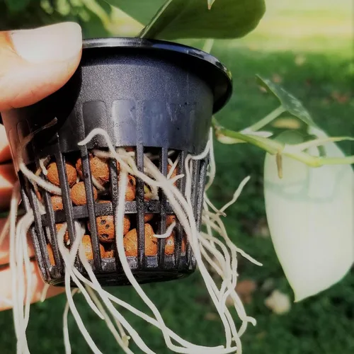 Miniatura 6 de JOIKIT Paquete de 50 macetas de red de plástico de 5 pulgadas, macetas de red de cultivo hidropónico, copas de red de malla ranurada para jardín