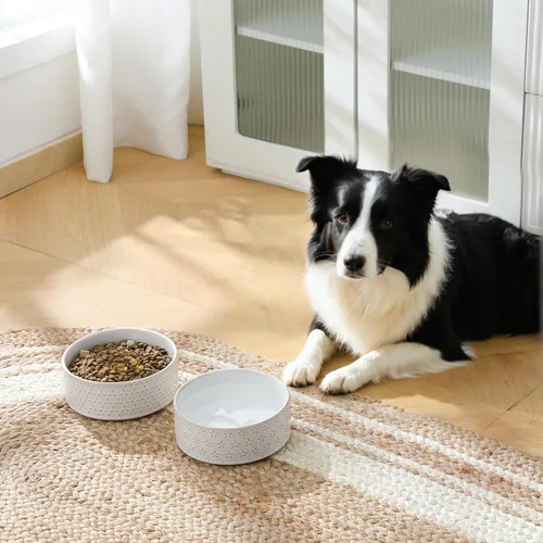 Miniatura 3 de Taza de comida para perros de cerámica MALACASA, 3.5 tazas o 32oz de plato de agua para comida de perro para razas medianas, taza para mascotas apta