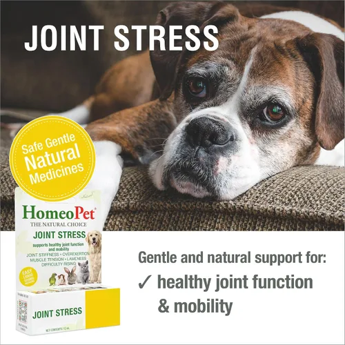 Miniatura 2 de HomeoPet Estrés articular, apoyo articular para perros y gatos, medicamentos líquidos para mascotas para apoyar el movimiento saludable
