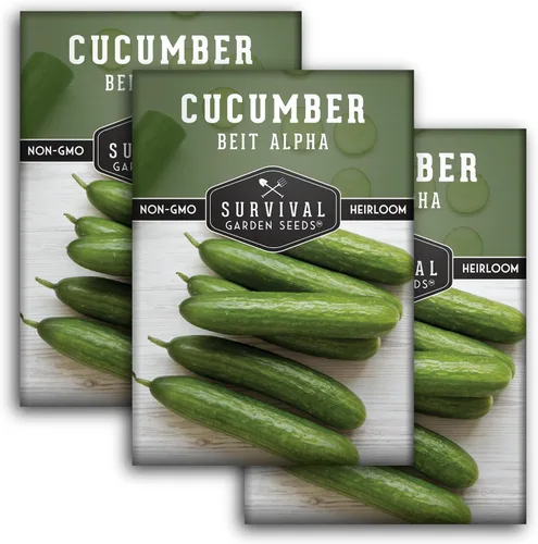 Survival Garden Seeds - Semilla de pepino Beit Alpha para plantar - Paquete con instrucciones para plantar y cultivar pepinos verdes suaves sin