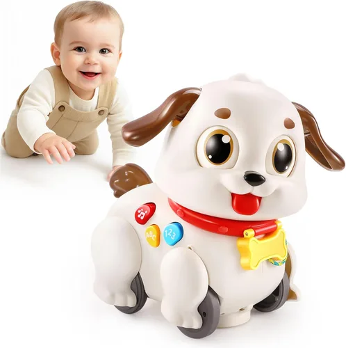 LUDILO Juguetes educativos para niños de 1 año, regalos para niños y niñas: juguete musical de cachorro para arrastrar y gatear, para bebés de 6, 7,