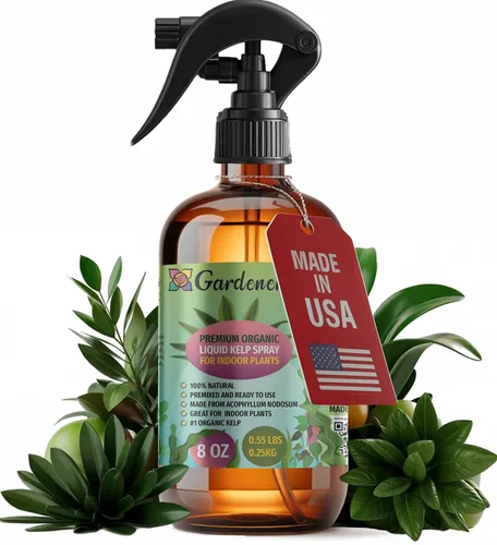 Miniatura 27 de GARDENERA Spray orgánico profesional de algas marinas para plantas AGLAONEMA – 8 oz – Rocío fertilizante de algas marinas y algas marinas totalmente